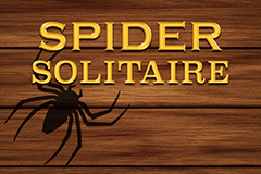 Spider Solitär